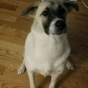 Meet your Posher, Debra